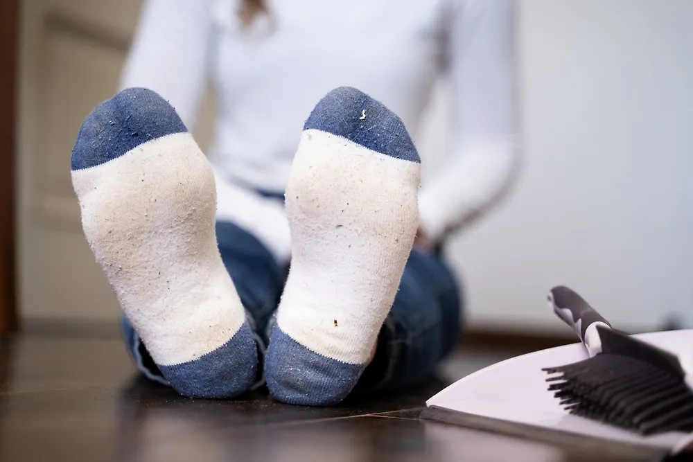 Как помыть полы без швабры — интересный лайфхак из 2025 года. И речь не о мытье полов руками на корточках. Фото © Shutterstock / FOTODOM / monshtein