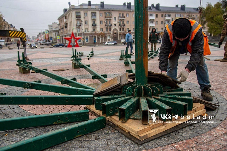 В Белгороде начали устанавливать новогоднюю ель на Соборной площади. Фото © пресс-служба администрации города Белгорода 