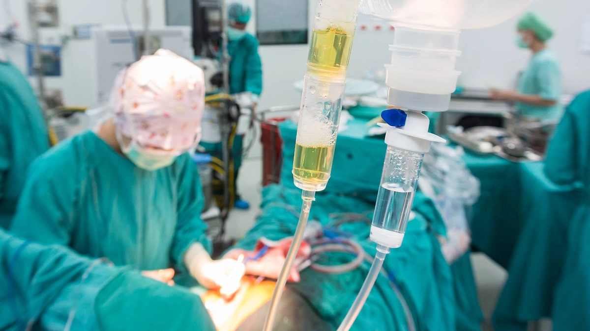 Дело Екатерины Лонской — чем закончилось, как убедиться в квалификации хирурга. Фото © Shutterstock / FOTODOM / ChaNaWiT