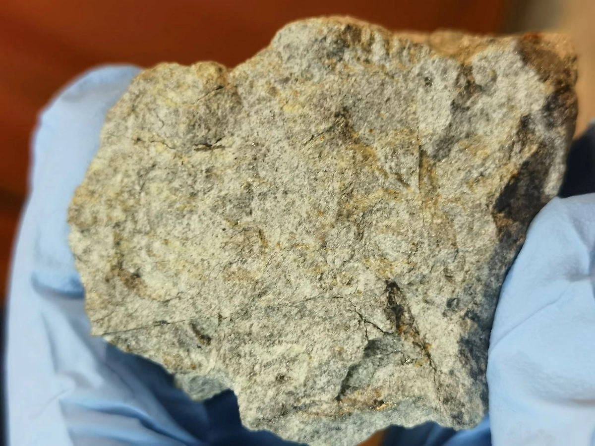 Фото © Telegram / ГЕОХИ РАН