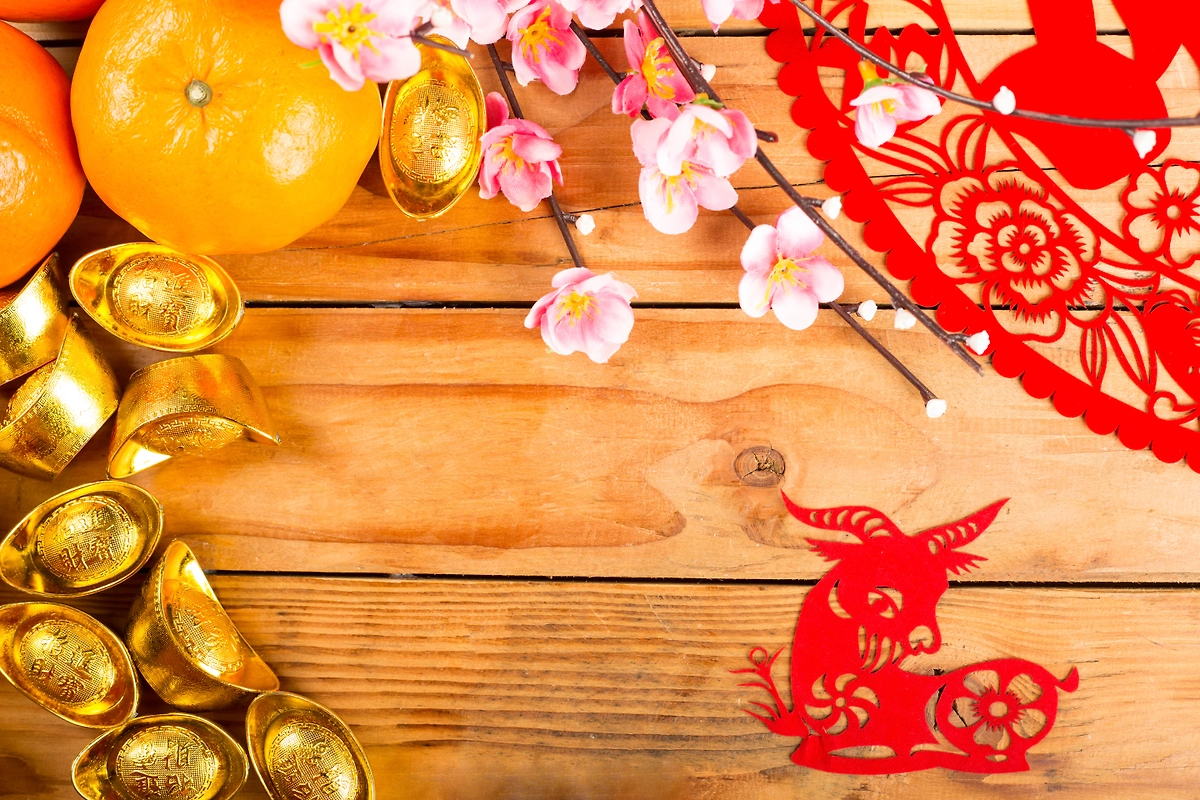 Гороскоп по знакам китайского зодиака 2026: Что ждёт Козу в год Огненной Лошади. Фото © Shutterstock / FOTODOM / ShutterOK