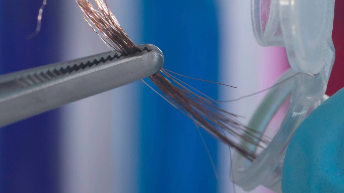 Наконец, в волосах содержится ваша ДНК. Её можно безобидно проанализировать, а можно ею же вас подставить. Фото © Shutterstock / FOTODOM / Tonhom1009