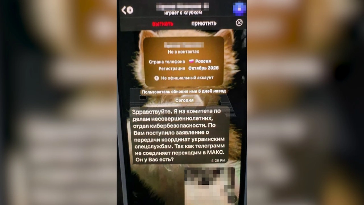 Вербовщики из Украины атакуют подростковые чаты знакомств. Фото © Telegram / Baza