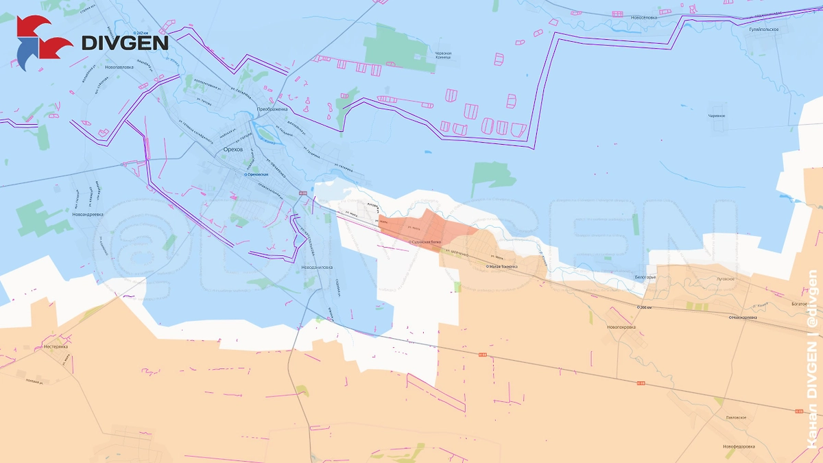 Карта зоны СВО на 17 ноября 2025 года. Армия России продвигается к Орехову. Фото © Telegram / DIVGEN 🚩 Карта СВО