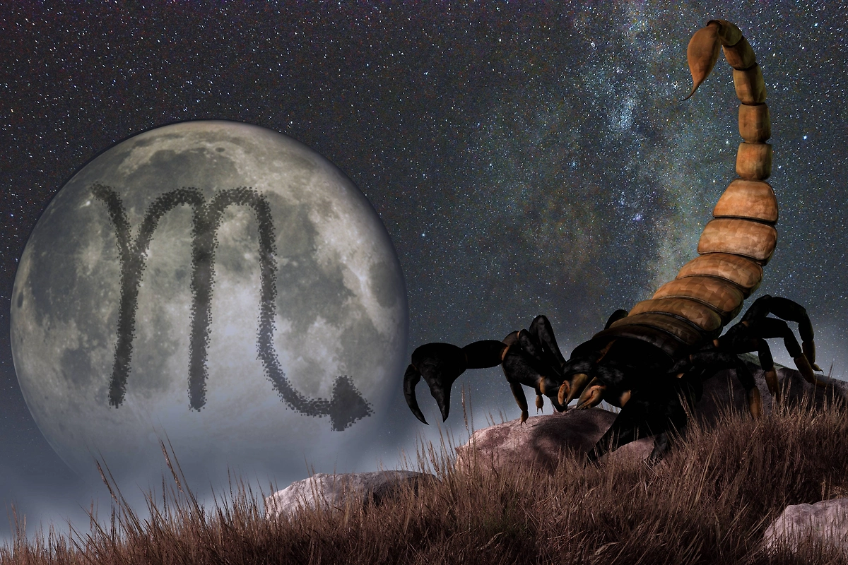 Какие задачи поставит новолуние 20 ноября? Фото © Shutterstock / FOTODOM / Daniel Eskridge