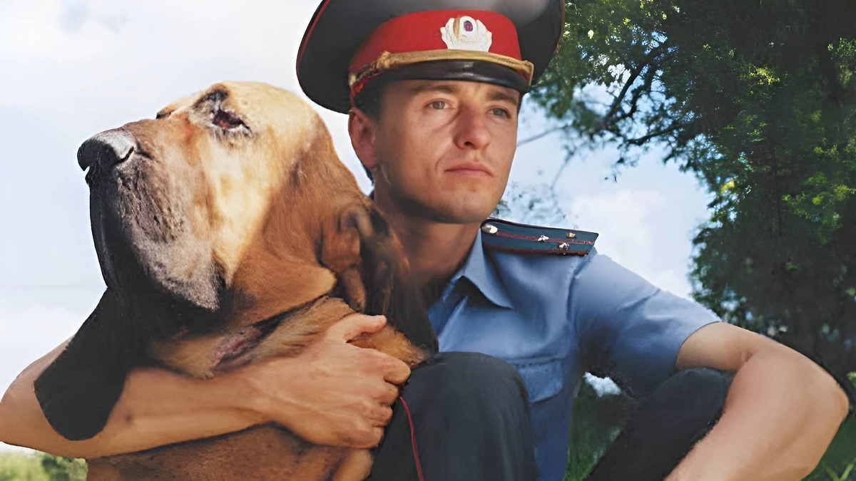 Мощный пёс породы бладхаунд по кличке Цезарь — тоже главный герой сериала «Участок». Фото © Кадр из сериала «Участок», режиссёр Александр Баранов, сценарист Алексей Слаповский / Kinopoisk