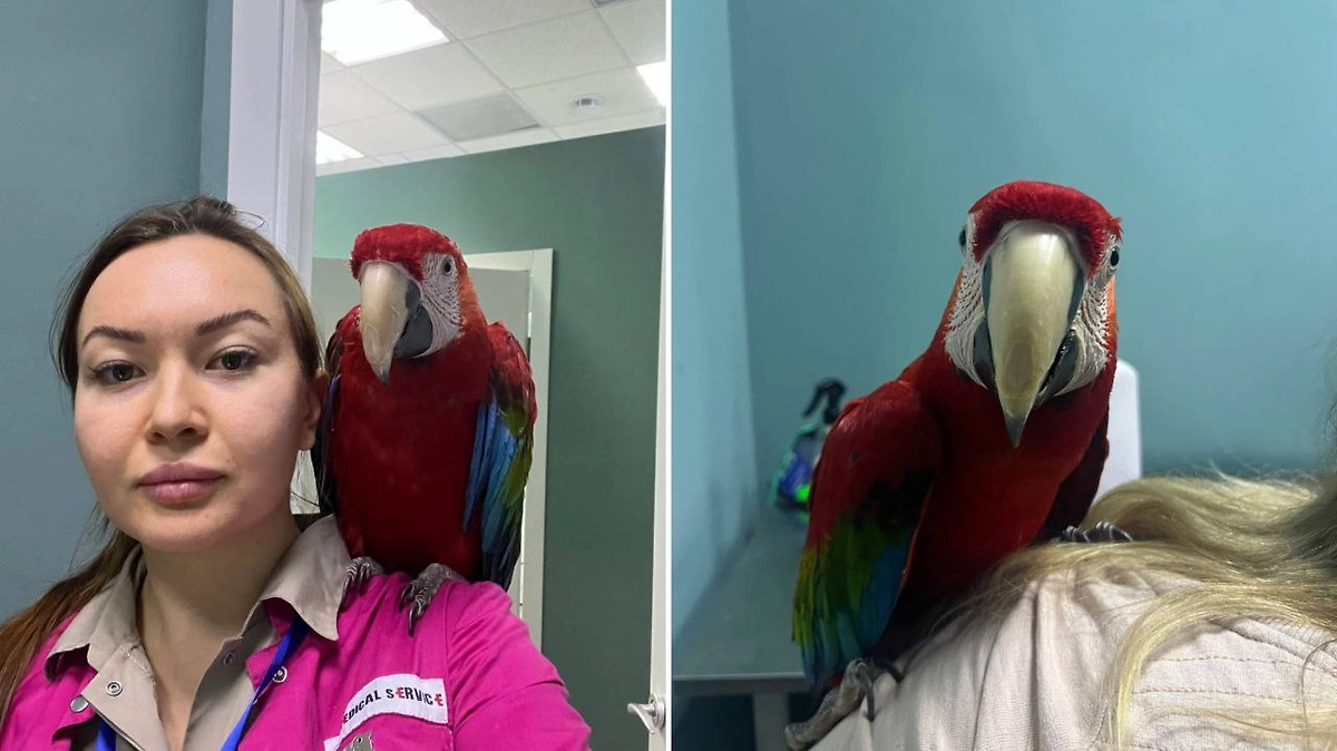 Фото © Личный архив Алии Рафисовны