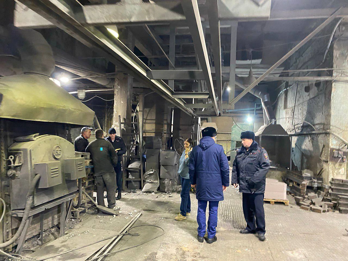 В Тушино активизировались догхантеры. Фото © SHOT ПРОВЕРКА