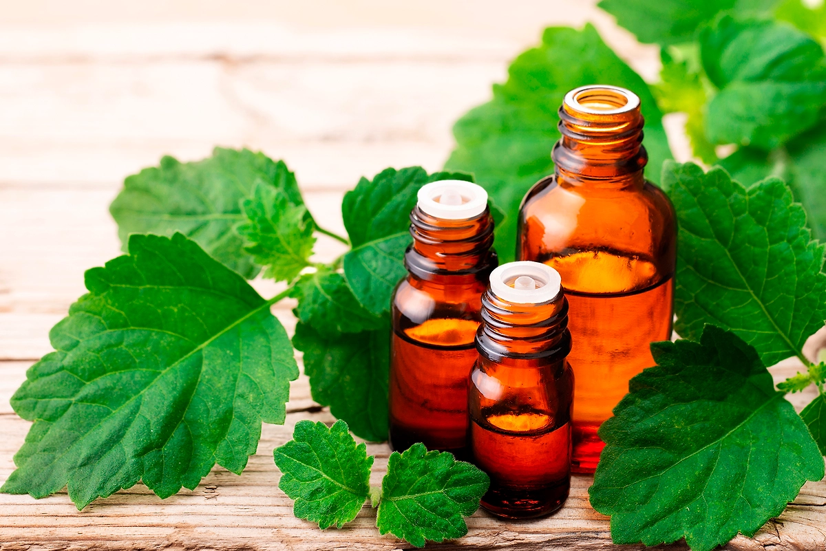 Аромат пачулей на Новый год вселяет небывалое спокойствие. Именно пачули в купаже отвечают за стабильность. Фото © Shutterstock / FOTODOM / AmyLv