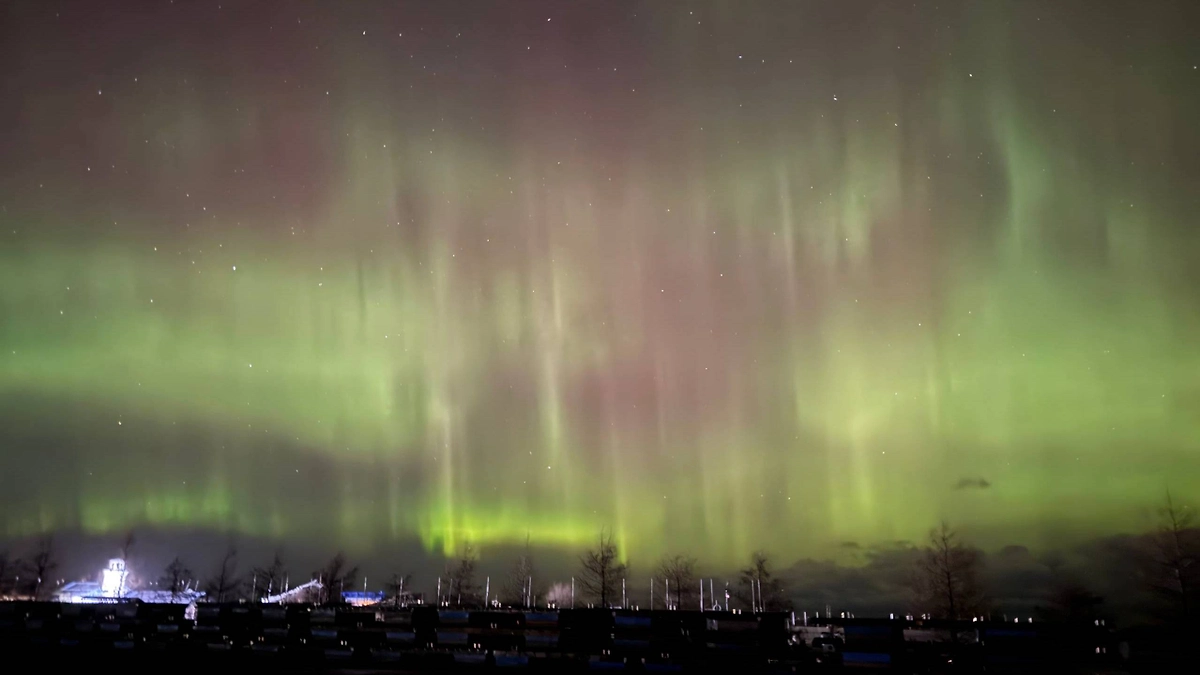 Северное сияние в небе над Ленинградской областью. Обложка © Telegram / АстроФотоБолото / Tik