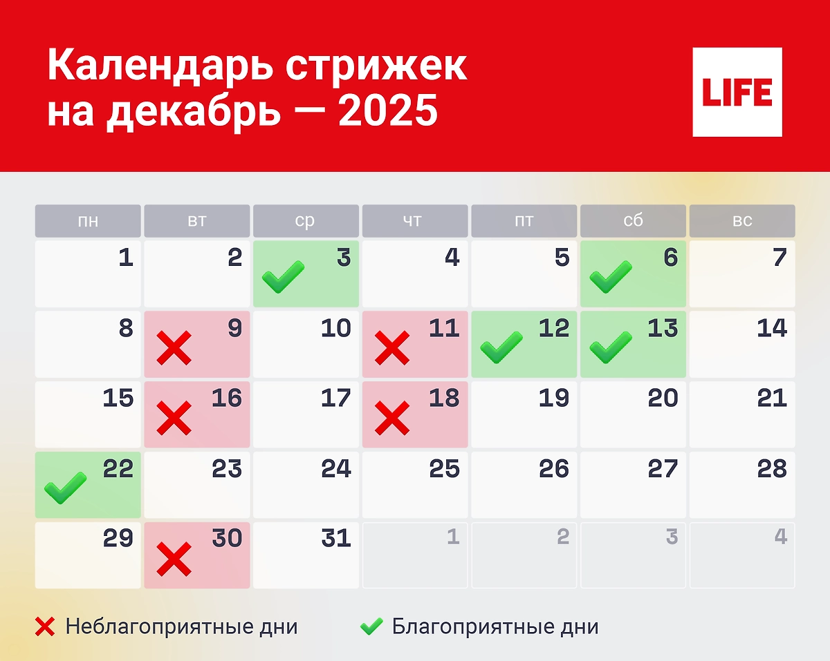 Лунный календарь стрижек на декабрь 2025 года: когда идти в парикмахерскую, когда — нет. Инфографика © Life.ru