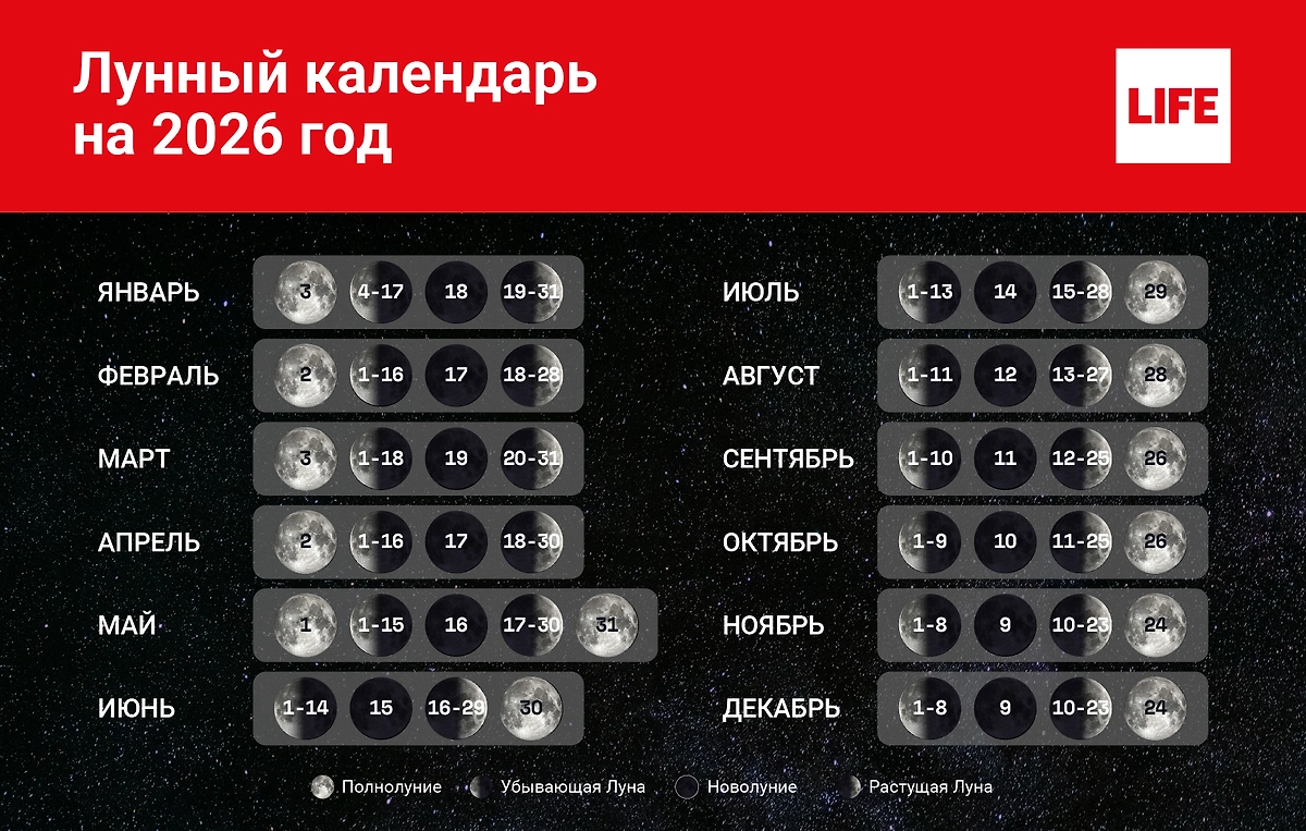 Помесячный календарь фаз Луны. Лунный календарь на 2026 год, если проще. Инфографика © Life.ru