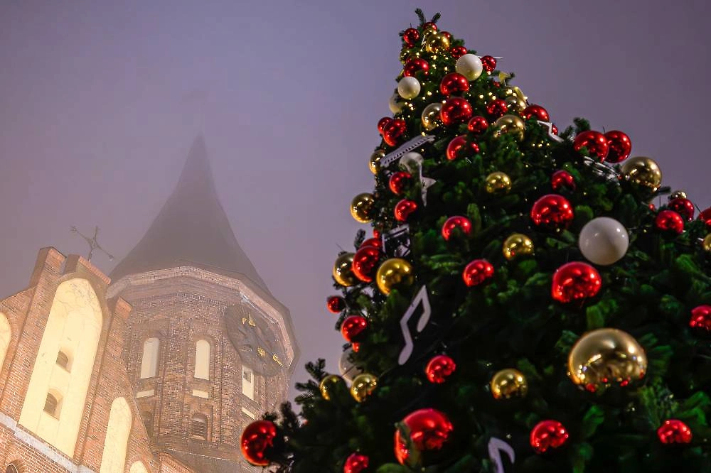 Какая погода будет на Новый год в Калининграде. Фото © ТАСС / Александр Мелехов