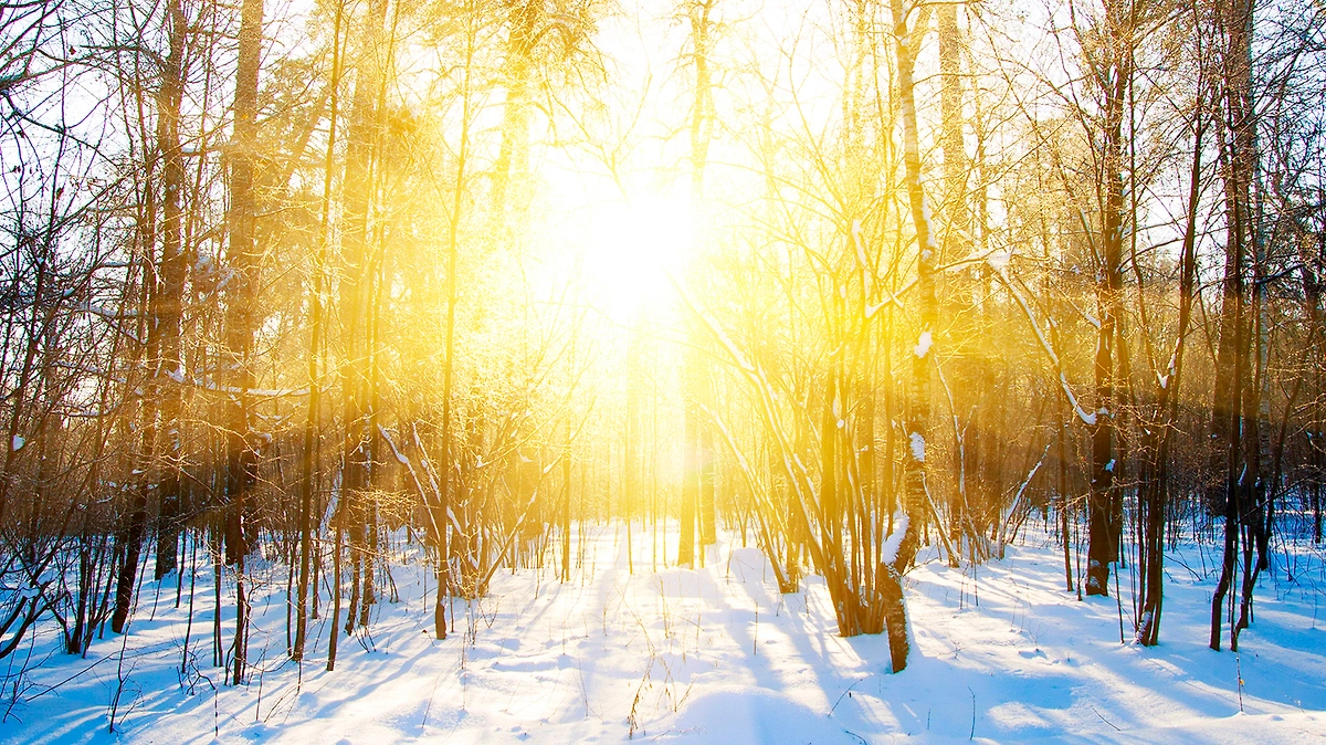 Новогодний ритуал на любовь: инструкция от экстрасенса. Фото © Shutterstock / FOTODOM / Alexey Repka