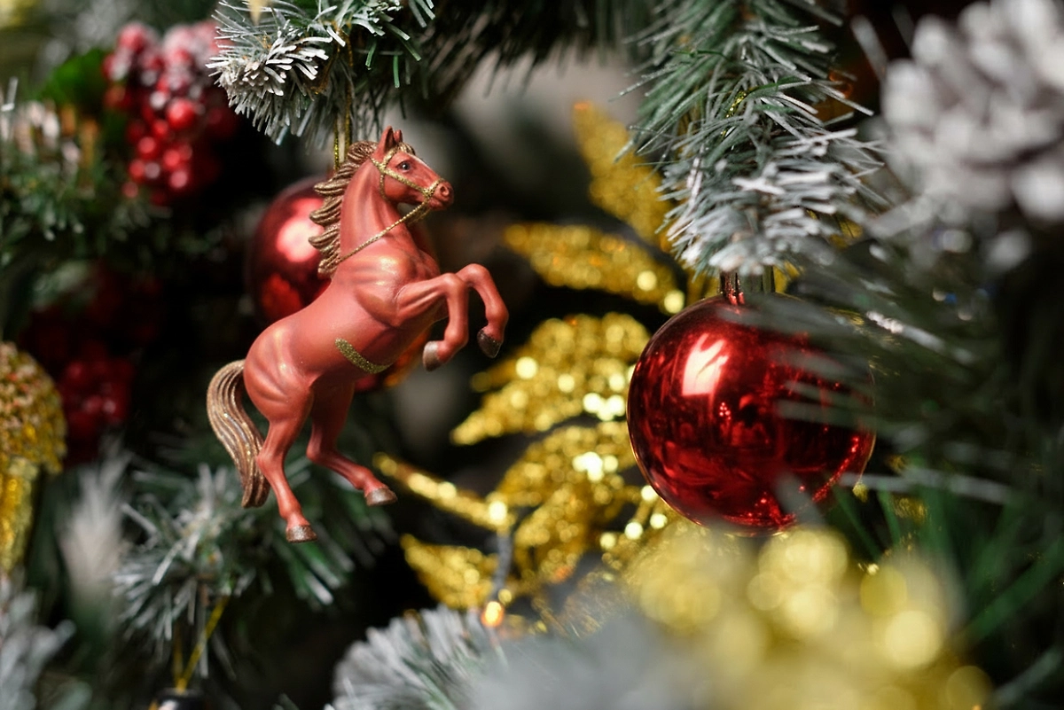 Новый год Огненной Лошади 2026 — какие материалы он любит? Фото © Shutterstock / FOTODOM / Dmitrii Pridannikov