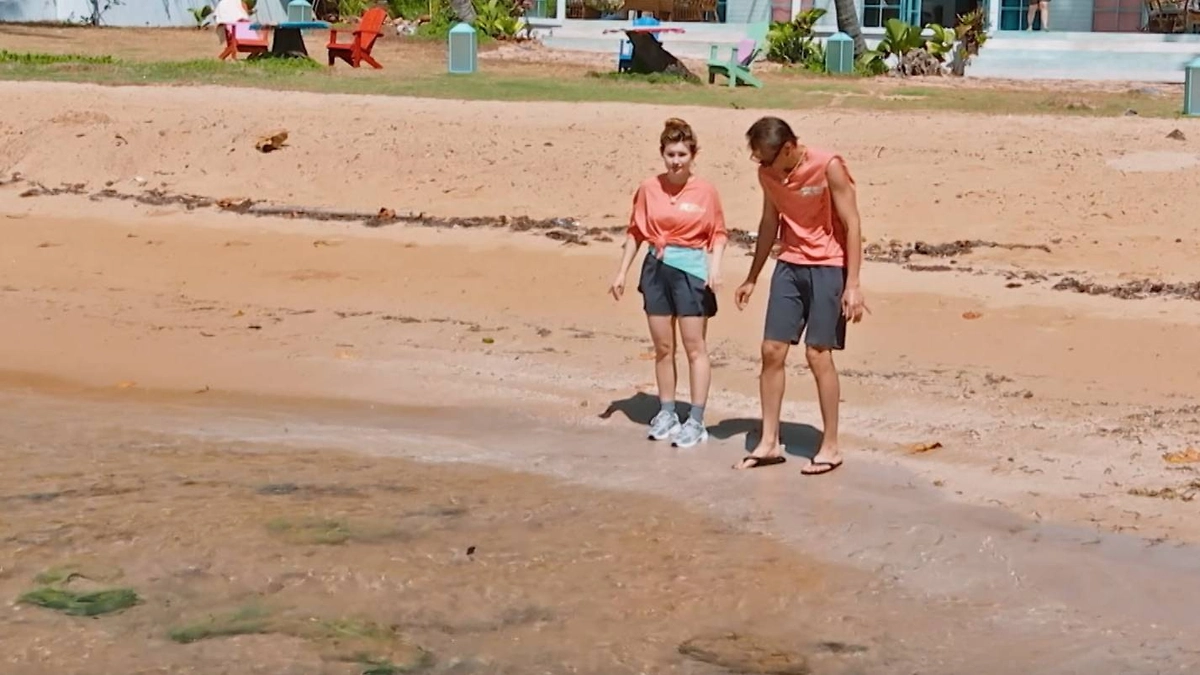 Как завершился второй сезон реалити «Звёзды в джунглях» на ТНТ. Фото © RuTube / Звёзды в джунглях