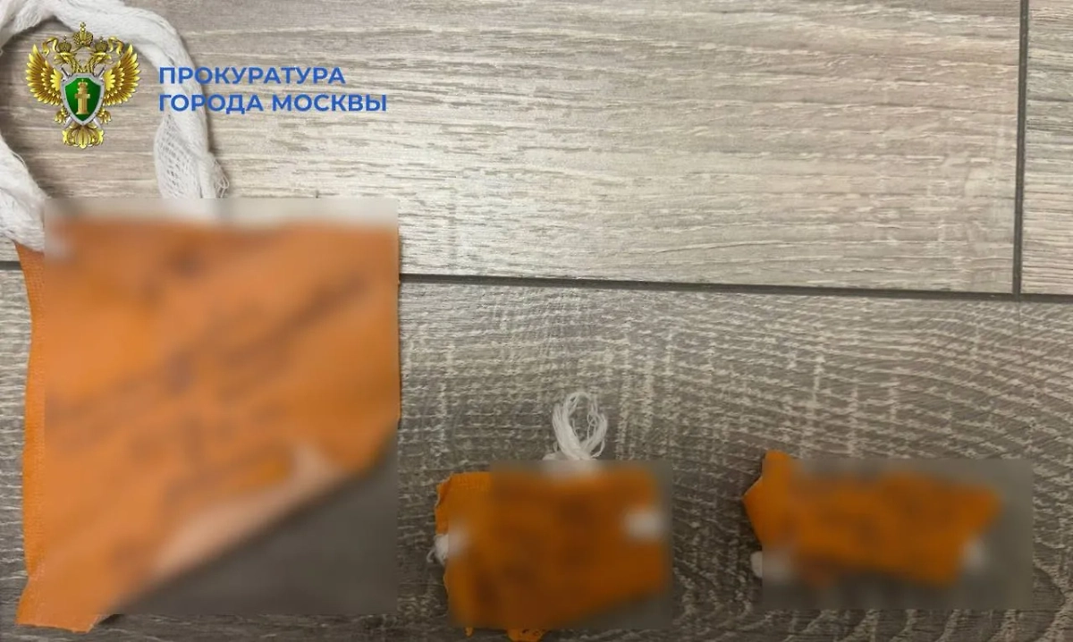 В Москве 20-летняя мать решила продать свою дочь сразу после рождения. Обложка © Telegram / ПРОКУРАТУРА МОСКВЫ