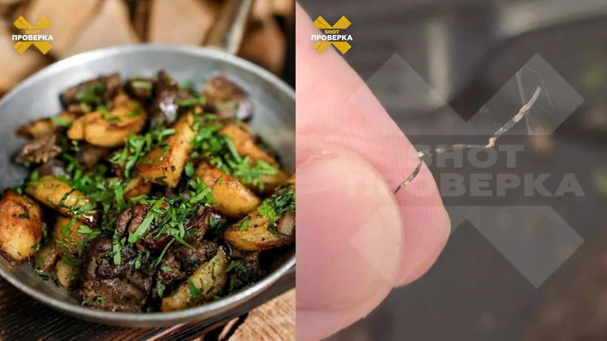 Посетителю московского ресторана в блюде попался кусок металлической щётки. Фото © Telegram / SHOT ПРОВЕРКА