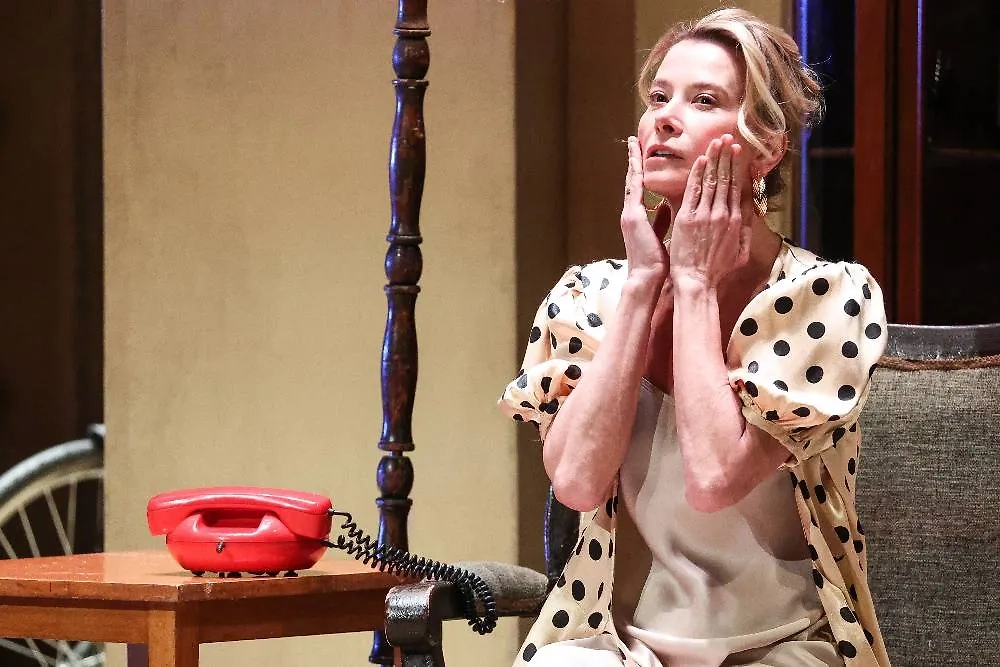 Судебные разборки Юлии Высоцкой: за что подали иск на «Едим дома». Фото © ТАСС / Сергей Бобылев