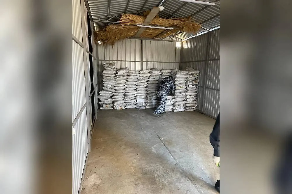 Сорбент. Фото © Предоставлено Life.ru