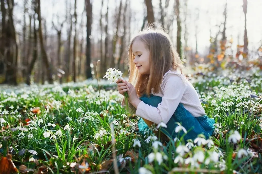 Весенние первоцветы — это подснежники, морозники, анемоны и прочие красавчики. Фото © Shutterstock / FOTODOM / Ekaterina Pokrovsky