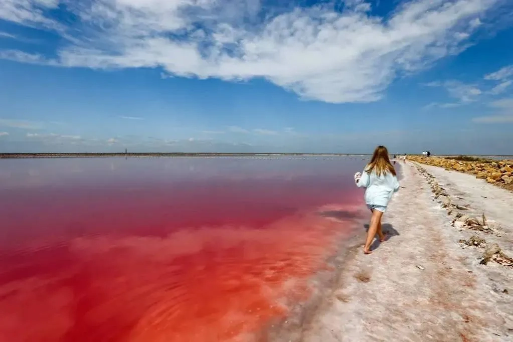 Где в Крыму находится розовое озеро? Фото © ТАСС / Сергей Мальгавко