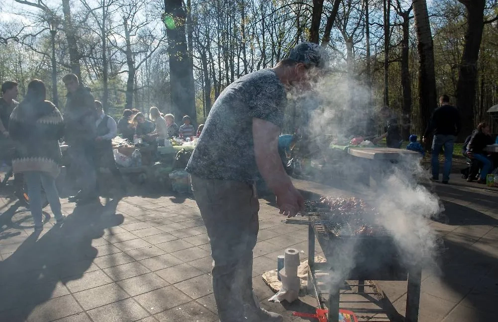 В длинные майские праздники многие любят выезжать за город. Фото © ТАСС / Артём Житенев