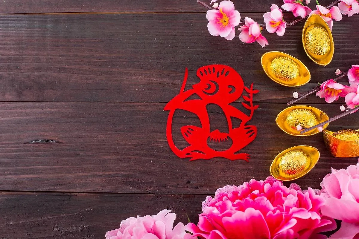 Обезьяна в восточном гороскопе: секреты успеха в ретроградный период. Фото © Shutterstock / FOTODOM / ShutterOK