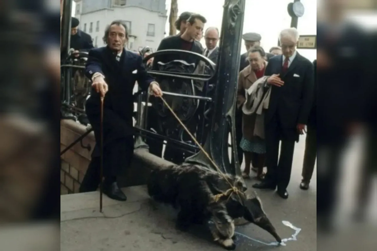 Парижский зоопарк разрешил Сальвадору Дали забрать муравьеда и поселить у себя в апартаментах. Фото © YouTube / Time Machine