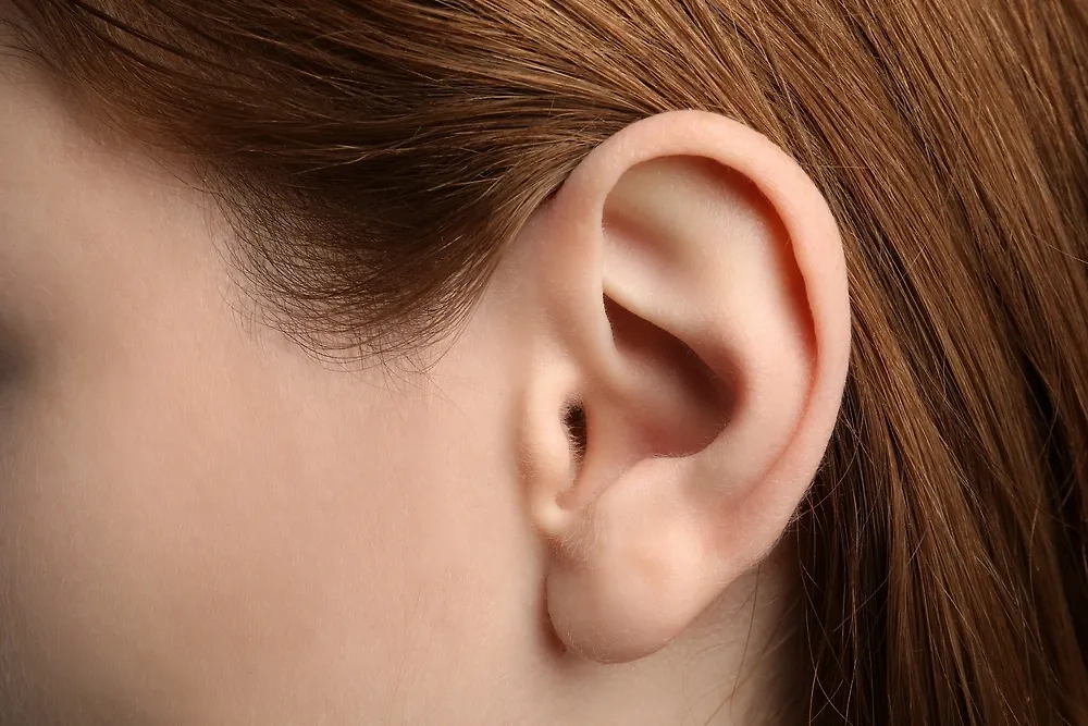 Как мочка уха раскрывает судьбу человека. Фото © Shutterstock / FOTODOM / New Africa