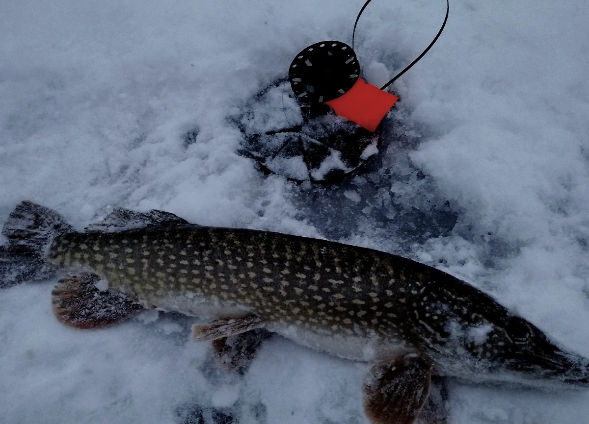 Виталий Шульга. Фото © VK / Виталий Шульга