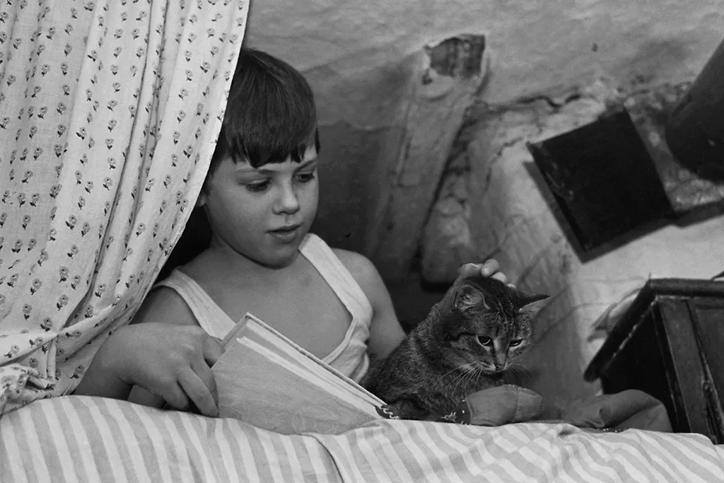 Четвероногие товарищи: архивные фотографии котов из СССР. Фото © ТАСС / Виктор Садчиков