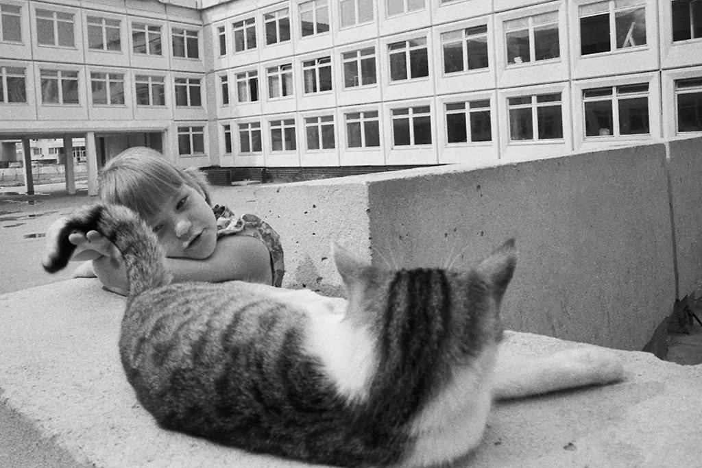 От Брежнева до Горбачёва: что повидали коты в СССР. Фото © ТАСС / Игорь Зотин