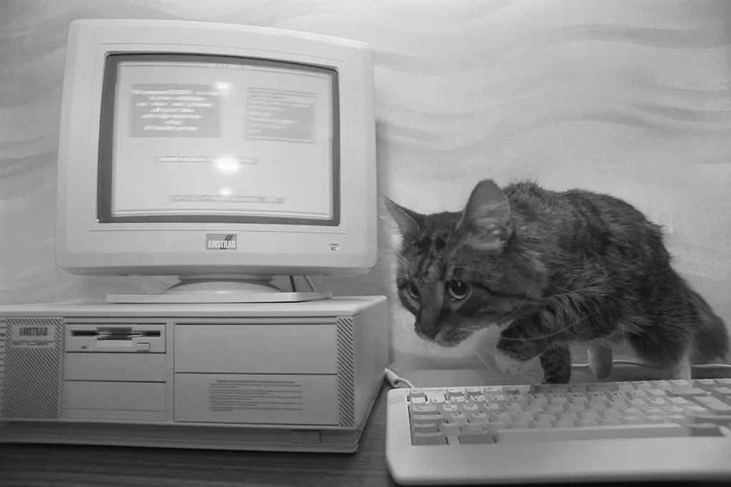 Коты, пережившие СССР: уникальные фотографии пушистых свидетелей эпохи. Фото © ТАСС / Сергей Мамонтов 