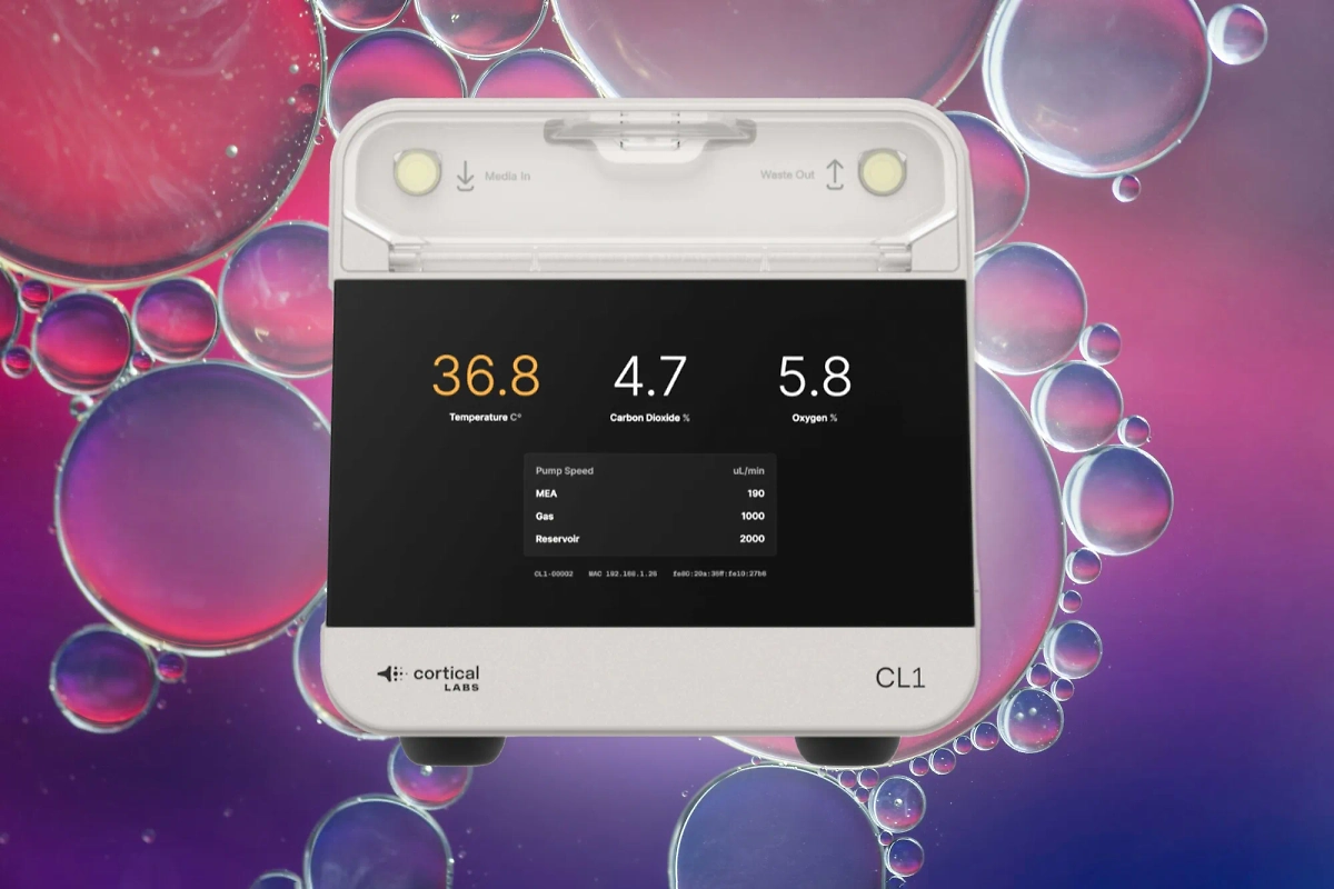 Как этот компьютер вообще работает? На человеческих мозгах, очевидно. Фото © Freepik, © corticallabs