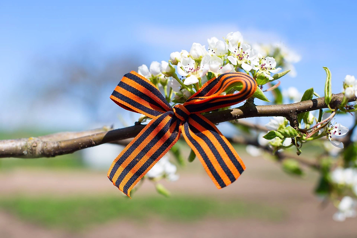 Выходные на 9 мая 2026 — когда и сколько отдыхаем. Фото © Shutterstock / FOTODOM / vo_studio