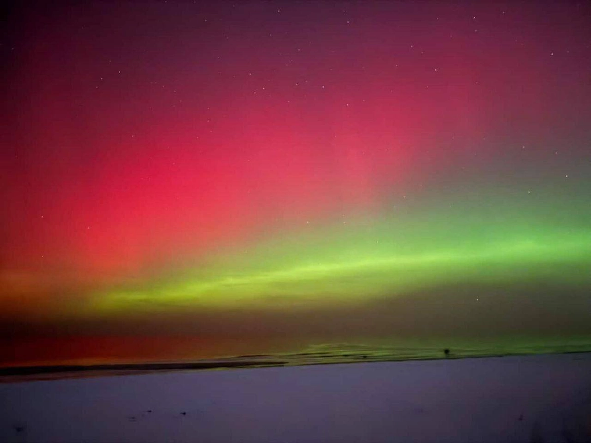 Северное сияние в Калининграде. Фото © Telegram / Лаборатория солнечной астрономии (XRAS) / evikx_8