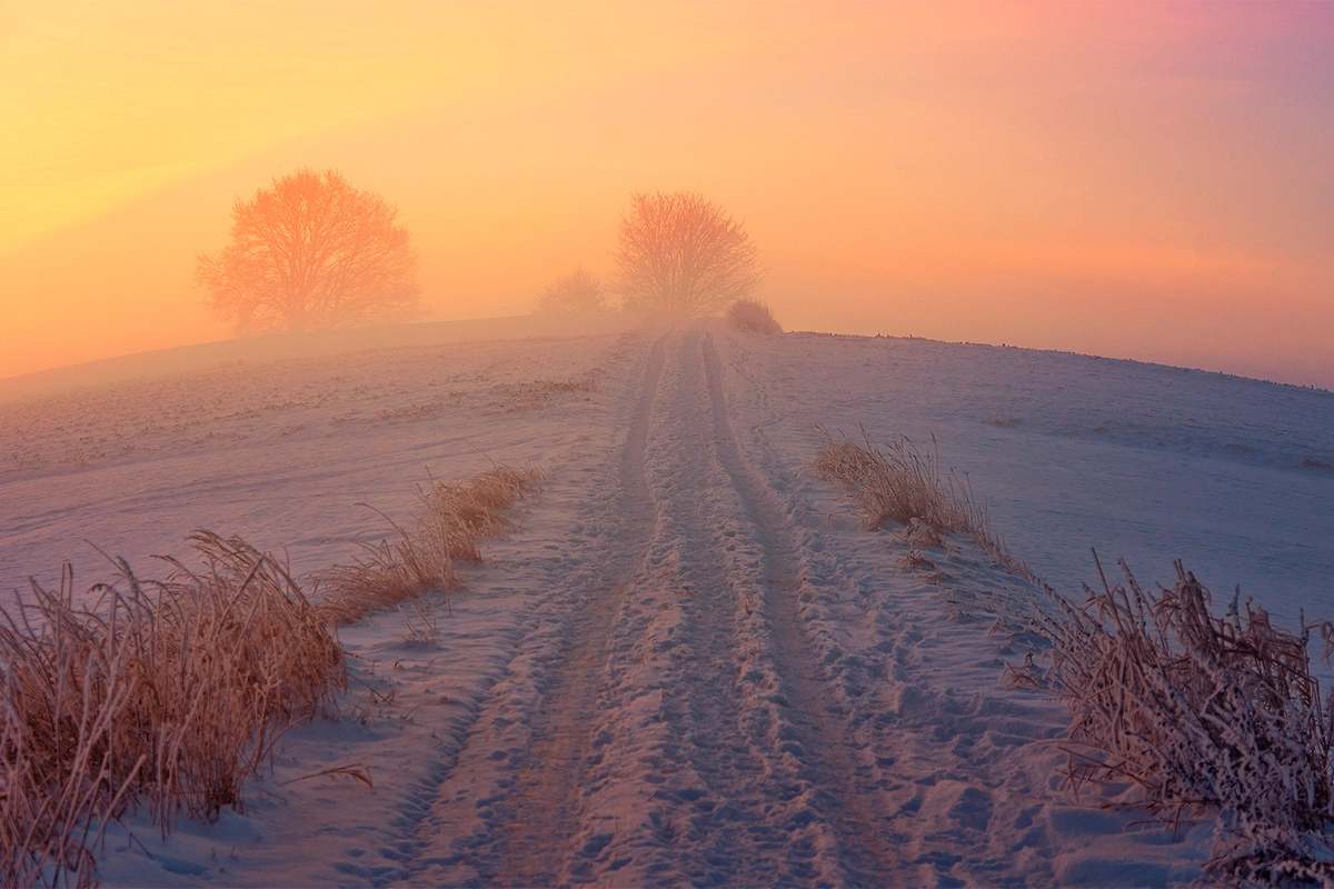 Фото © Freepik / jplenio1