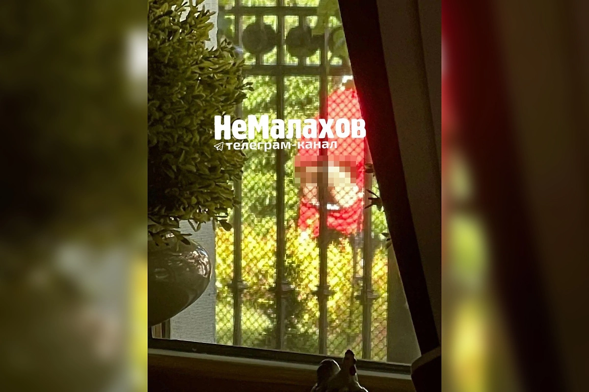 Волочкова попала в скандал с ёлочкой. Фото © Telegram / nemalahov