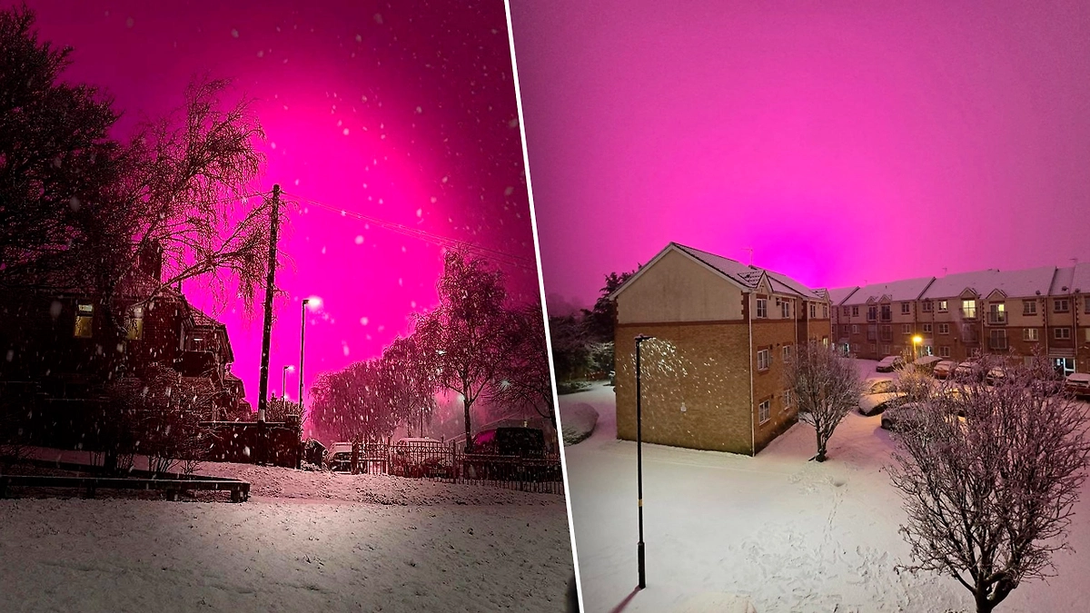 Фото © reddit/hard2resist, Х / mahy80649890