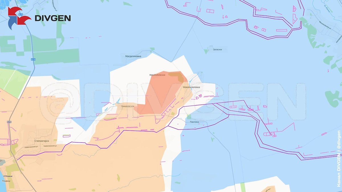Карта СВО на 13 января 2025 года. Запорожское направление. Штурмовые подразделения ГВ «Днепр» освободили село Новобойковское. Фото © Telegram / DIVGEN 🚩 Карта СВО