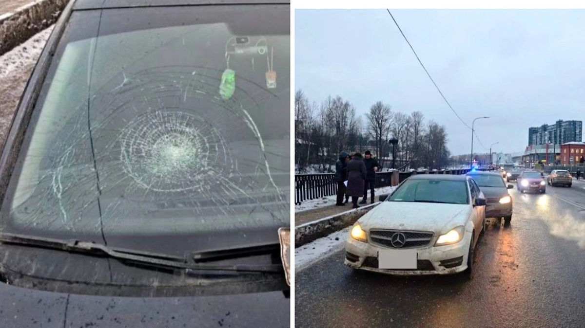 23 января по Заневскому проспекту в Санкт-Петербурге произошло ДТП с участием автомобиля «Фольксваген Поло» и «Мерседес-Бенц С250», итогом которого стало нападения на сотрудника ДПС. Фото © Telegram / Госавтоинспекция СПб и ЛО