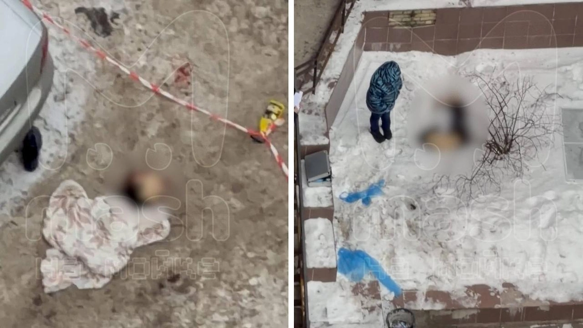 В Санкт-Петербурге обнаружили тело мужчины с отсечённой головой. Обложка © Telegram/ Mash на Мойке