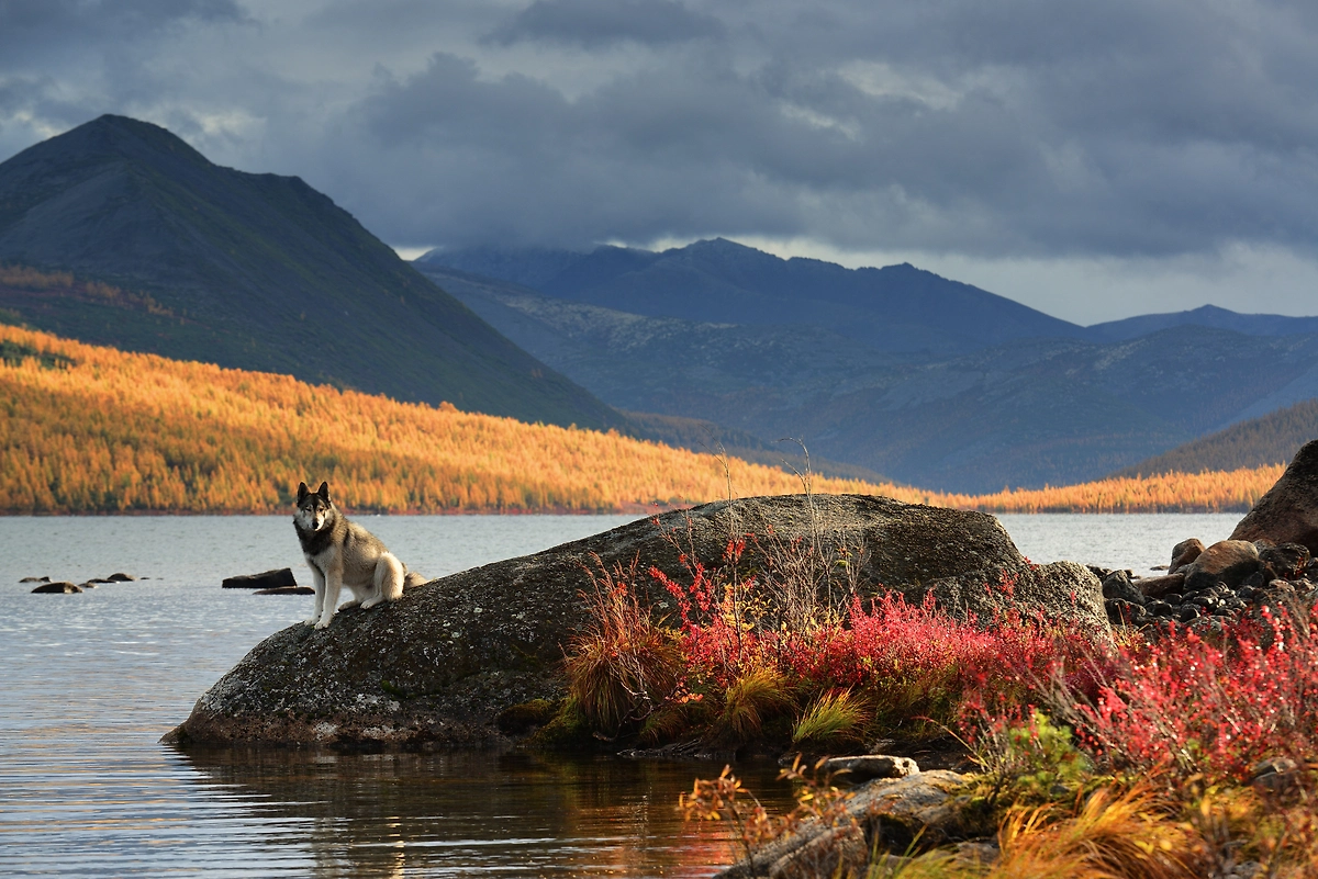 Озеро Джека Лондона в Магаданской области среди заснеженных гор. Фото © Shutterstock / FOTODOM / Maksim_Evdokimov