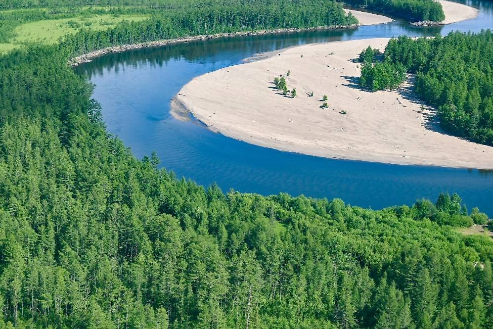Барханы Чарских песков в Забайкалье. Фото © ТАСС / Евгений Епанчинцев