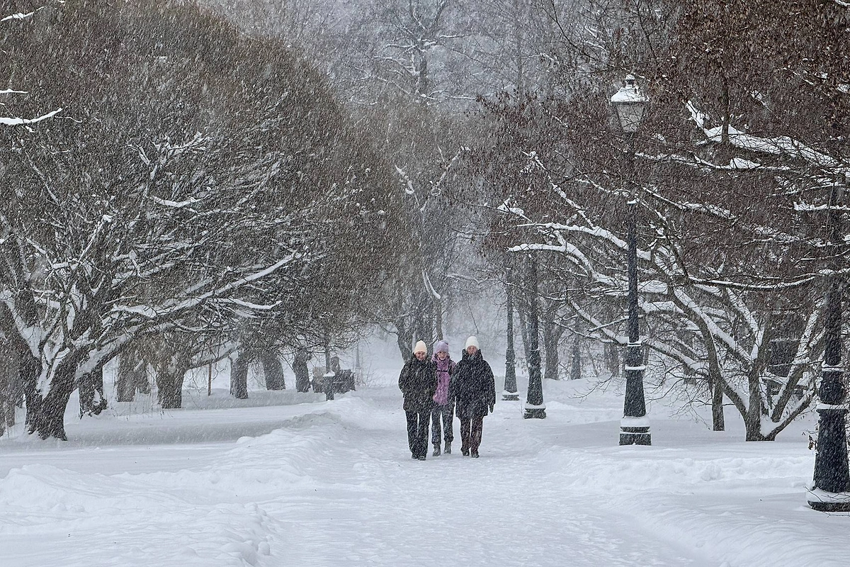 Погода в Москве в феврале 2026. Фото © Life.ru