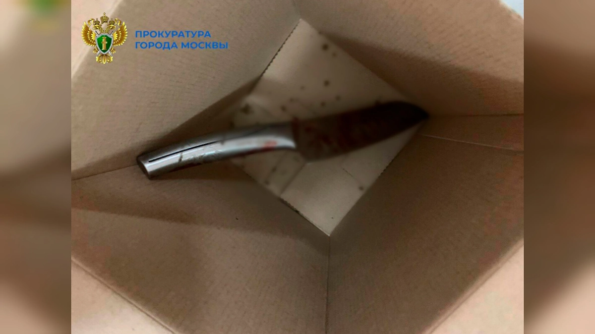 Пьяный отец в Москве нанёс ножевые ранения жене и сыну-подростку. Фото © Telegram / Прокуратура Москвы