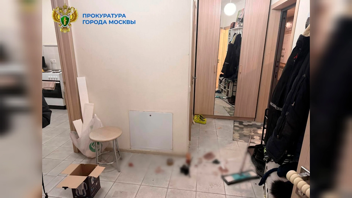 Пьяный отец в Москве нанёс ножевые ранения жене и сыну-подростку. Фото © Telegram / Прокуратура Москвы