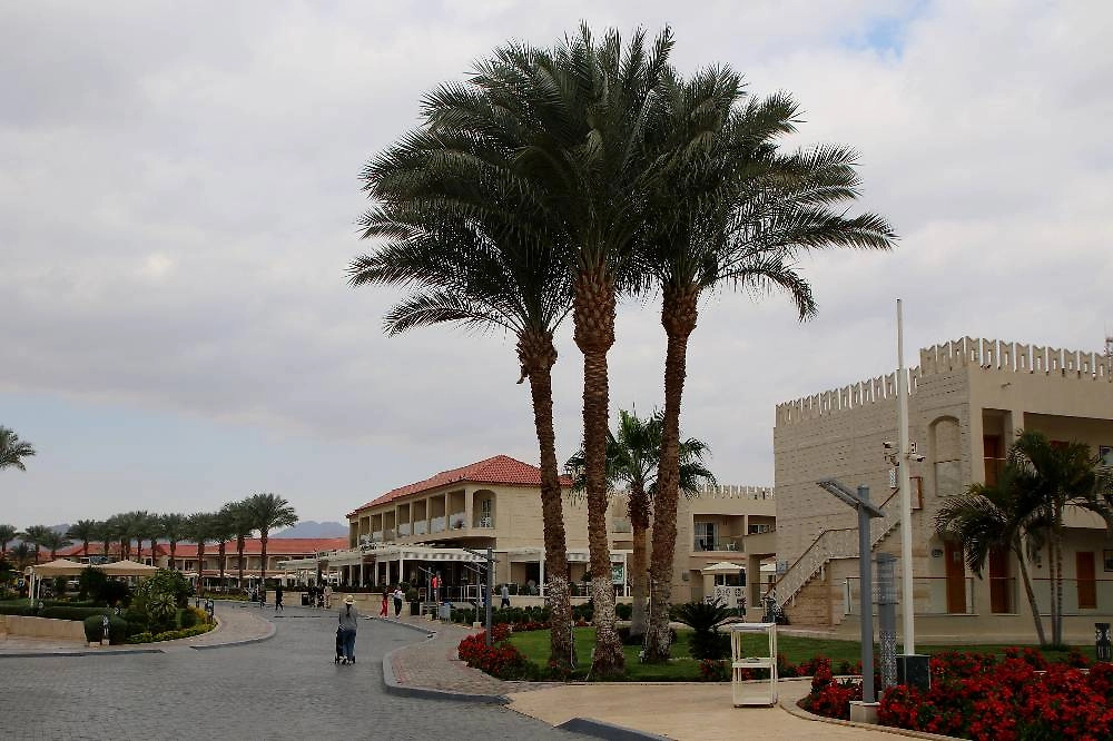 Погода на курортах Египта в феврале 2026. Фото © ТАСС / Максим Константинов