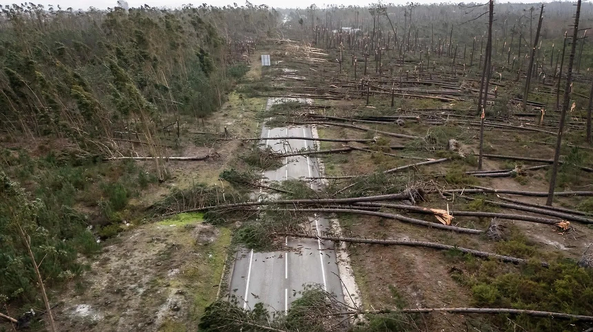 Последствия шторма. Фото © X / Pedro Pereira